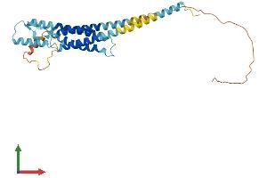 AlphaFold protein structure predicition of Mouse Recombinant Odf4 Protein, UniprotID Q8VI88