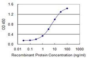 Detection limit for recombinant GST tagged FIS1 is 0. (Fission 1 anticorps  (AA 1-152))