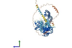 AlphaFold protein structure predicition of Mouse Recombinant Abcb7 Protein, UniprotID Q61102