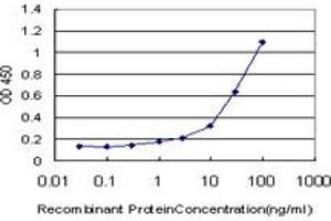 Detection limit for recombinant GST tagged PGGT1B is approximately 1ng/ml as a capture antibody. (PGGT1B anticorps  (AA 1-105))