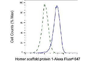 Validation of Homer scaffold protein 1 knockdown using flow cytometry. (Recombinant Homer Scaffold Protein 1 anticorps)