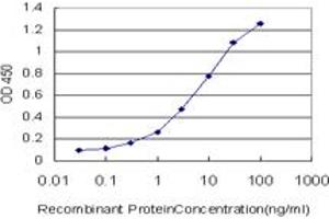 Detection limit for recombinant GST tagged SLC29A4 is approximately 0.