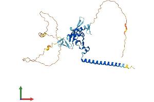 AlphaFold protein structure predicition of Human Recombinant RASSF6 Protein, UniprotID Q6ZTQ3