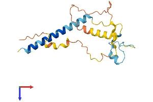 AlphaFold protein structure predicition of Mouse Recombinant Fancd2os Protein, UniprotID Q9D4K4