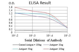 Image no. 1 for anti-Baculoviral IAP Repeat-Containing 5 (BIRC5) antibody (ABIN1501243) (Survivin anticorps)