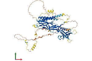 AlphaFold protein structure predicition of Human Recombinant RTKN Protein, UniprotID Q9BST9
