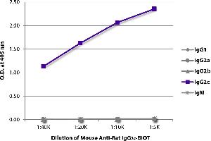 ELISA plate was coated with purified rat IgG1, IgG2a, IgG2b, IgG2c, and IgM. (Souris anti-Rat IgG2c Anticorps (Biotin))