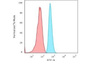 Flow Cytometric Analysis of HeLa cells using KRT15 Rabbit Recombinant Monoclonal Ab (KRT15/2103R) followed by Goat anti-rabbit IgG-CF488 (Blue); Isotype Control (Red).