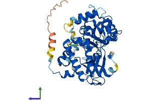 AlphaFold protein structure predicition of Mouse Recombinant Smyd5 Protein, UniprotID Q3TYX3