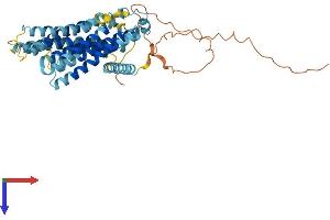 AlphaFold protein structure predicition of Human Recombinant TMEM184C Protein, UniprotID Q9NVA4
