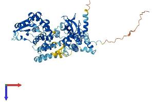 AlphaFold protein structure predicition of Human Recombinant FBXO21 Protein, UniprotID O94952