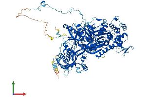 AlphaFold protein structure predicition of Human Recombinant EFTUD2 Protein, UniprotID Q15029