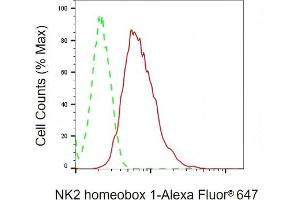 Flow cytometric analysis of NK2 homeobox 1 expression in HAP-1 cells using NK2 homeobox 1 antibody (ABIN7799607), 1:2,000). (Recombinant NKX2-1 anticorps)