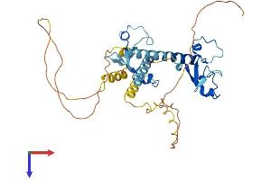 AlphaFold protein structure predicition of Mouse Recombinant Mbnl1 Protein, UniprotID Q9JKP5