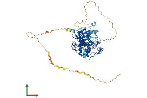 AlphaFold protein structure predicition of Mouse Recombinant Rps6kb2 Protein, UniprotID Q9Z1M4