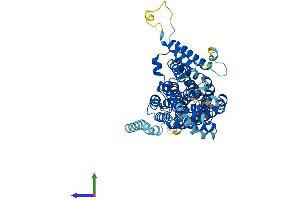 AlphaFold protein structure predicition of Mouse Recombinant Slc13a5 Protein, UniprotID Q67BT3