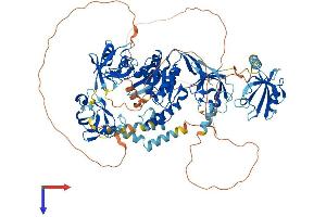 AlphaFold protein structure predicition of Mouse Recombinant Dlg1 Protein, UniprotID Q811D0