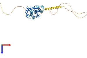 AlphaFold protein structure predicition of Human Recombinant PRPF38A Protein, UniprotID Q8NAV1