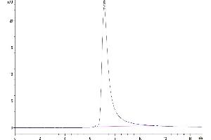 The purity of Mouse ENPP-2/Autotaxin is greater than 95 % as determined by SEC-HPLC.