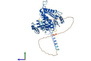 AlphaFold protein structure predicition of Mouse Recombinant Ankmy2 Protein, UniprotID Q3TPE9