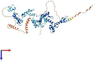 AlphaFold protein structure predicition of Human Recombinant ZNF583 Protein, UniprotID Q96ND8