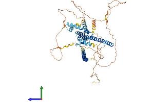 AlphaFold protein structure predicition of Human Recombinant RUNX1T1 Protein, UniprotID Q06455