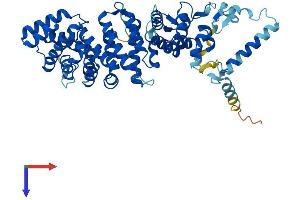 AlphaFold protein structure predicition of Mouse Recombinant Ric8a Protein, UniprotID Q3TIR3