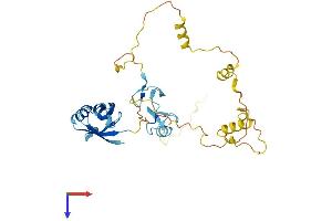 AlphaFold protein structure predicition of Mouse Recombinant Pdlim3 Protein, UniprotID O70209