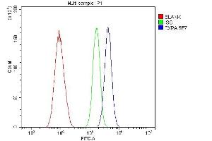 Flow Cytometry analysis of A549 cells using anti- Retinoid X Receptor alpha/RXRA antibody (ABIN7600721). (Retinoid X Receptor alpha anticorps  (AA 226-462))