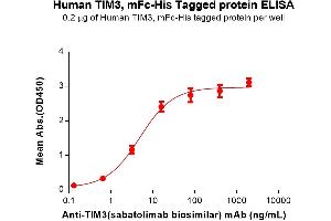 Hepatitis A Virus Cellular Receptor 2 (TIM 3) (AA 22-202) protein (mFc-His Tag)