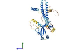 AlphaFold protein structure predicition of Human Recombinant TAF7 Protein, UniprotID Q15545