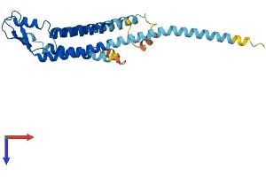 AlphaFold protein structure predicition of Mouse Recombinant Gjb6 Protein, UniprotID P70689