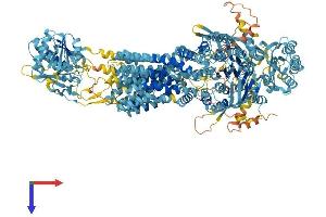 AlphaFold protein structure predicition of Human Recombinant ABCA5 Protein, UniprotID Q8WWZ7