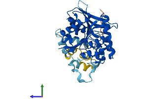 AlphaFold protein structure predicition of Mouse Recombinant Abhd4 Protein, UniprotID Q8VD66
