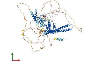 AlphaFold protein structure predicition of Human Recombinant AFAP1 Protein, UniprotID Q8N556
