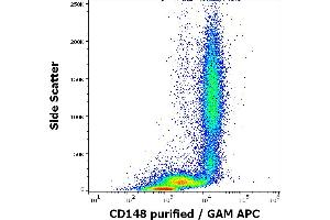 Flow cytometry surface staining pattern of human peripheral whole blood stained using anti-human CD148 (MEM-CD148/05) purified antibody (concentration in sample 2 μg/mL, GAM APC). (PTPRJ anticorps  (AA 1-444))