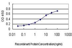 Detection limit for recombinant GST tagged PPBP is approximately 0. (CXCL7 anticorps  (AA 37-128))