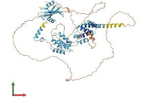 AlphaFold protein structure predicition of Mouse Recombinant Pnma5 Protein, UniprotID Q5DTT8