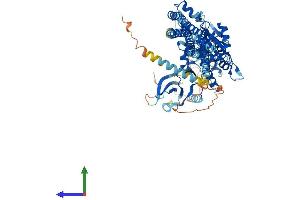 AlphaFold protein structure predicition of Human Recombinant CHUK Protein, UniprotID O15111