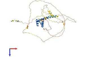 AlphaFold protein structure predicition of Human Recombinant MNX1 Protein, UniprotID P50219
