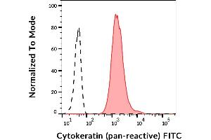 Separation of HeLa cell line (red-filled) from human peripheral whole blood (black-dashed) in flow cytometry analysis (intracellular staining) stained using anti-human cytokeratin (C-11) FITC antibody (concentration in sample 3 μg/mL). (Cytokeratins anticorps (FITC))
