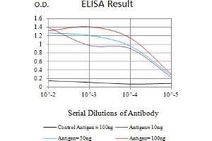 Black line: Control Antigen (100 ng),Purple line: Antigen (10 ng), Blue line: Antigen (50 ng), Red line:Antigen (100 ng) (Rubicon anticorps  (AA 859-972))