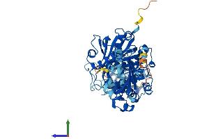 AlphaFold protein structure predicition of Human Recombinant SCP2 Protein, UniprotID P22307