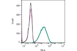 Cell surface detection of CD81 by direct flow cytometry in live intact mouse  microglia cell line: + Rabbit IgG Isotype Control-PE.
