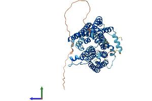 AlphaFold protein structure predicition of Human Recombinant SLC33A1 Protein, UniprotID O00400