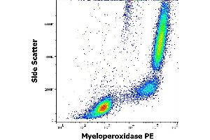 Flow cytometry intracellular staining pattern of human peripheral whole blood stained using anti-human Myeloperoxidase (MPO421-8B2) PE antibody (10 μL reagent / 100 μL of peripheral whole blood). (Myeloperoxidase anticorps  (PE))