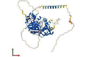 AlphaFold protein structure predicition of Human Recombinant CHST2 Protein, UniprotID Q9Y4C5