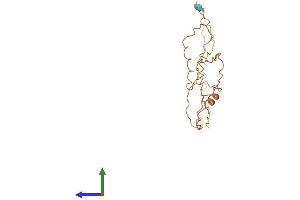 AlphaFold protein structure predicition of Human Recombinant SPATA12 Protein, UniprotID Q7Z6I5