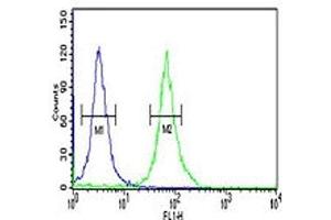 PKM2 antibody flow cytometric analysis of 293 cells (right histogram) compared to a negative control (left histogram).