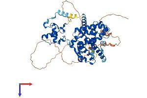 Peroxisome Proliferator-Activated Receptor gamma (PPARG) (AA 1-505) protein (His tag)
